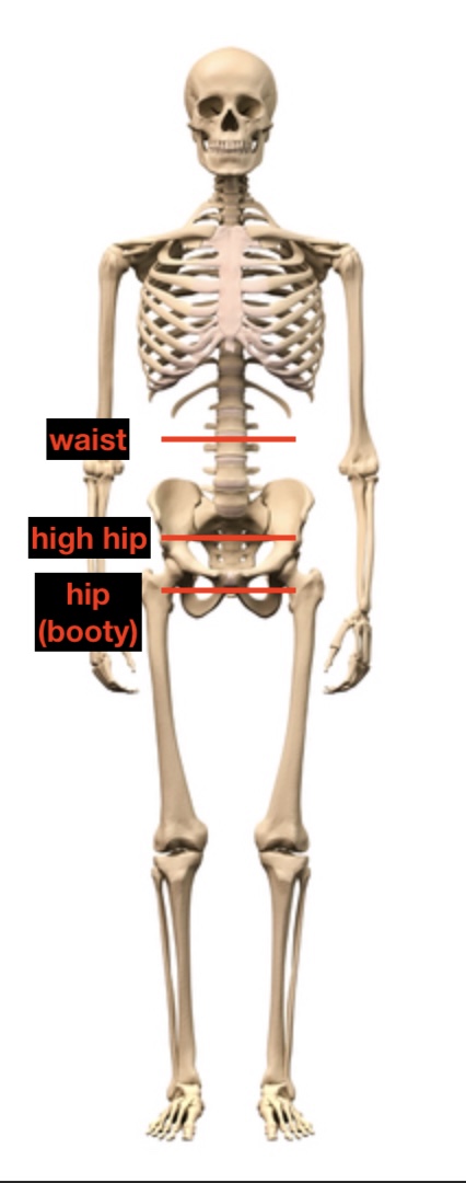 Screen Shot 2024-08-20 at 1.50.17 PM.jpg