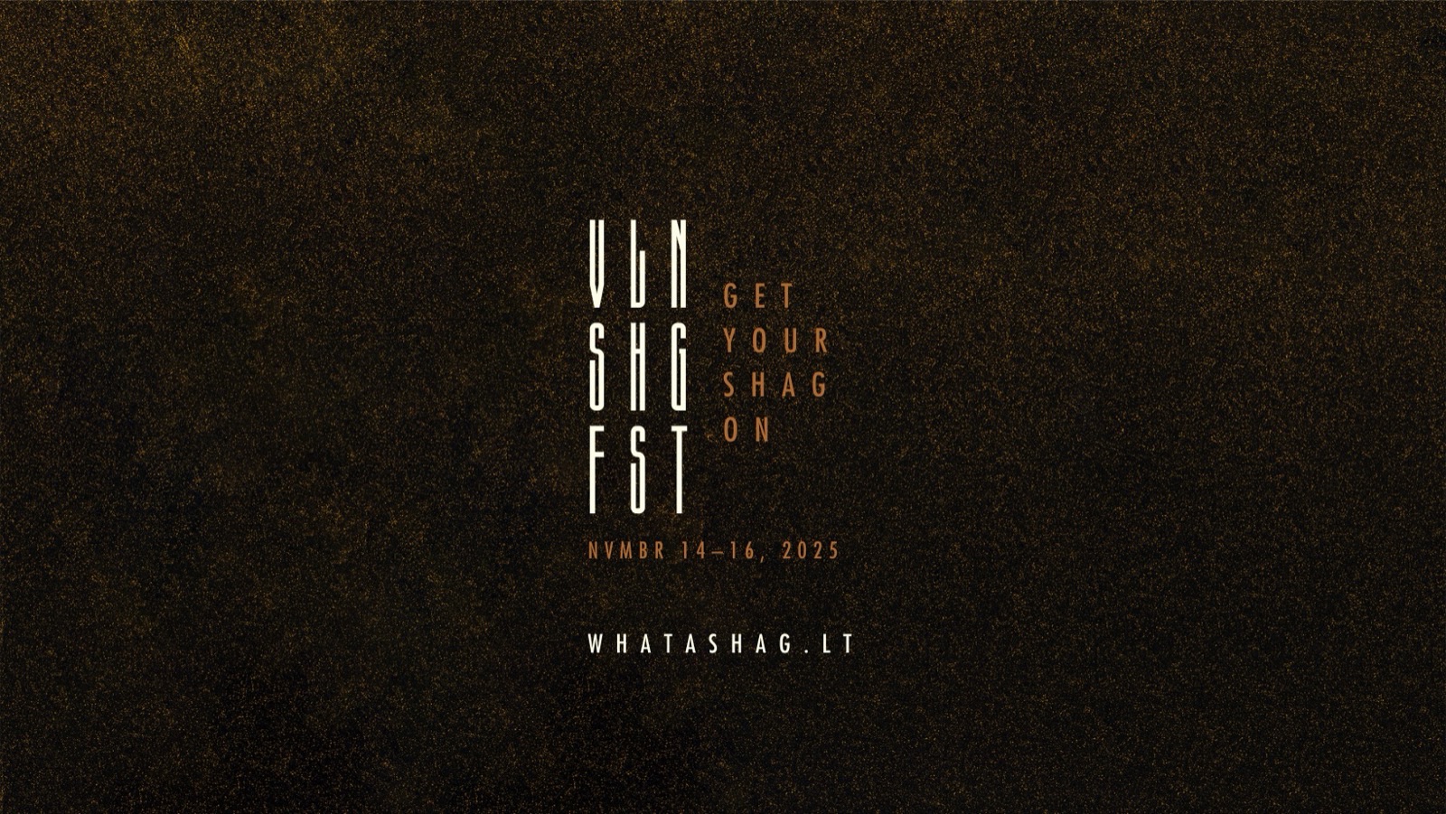 Vilnius Shag Fest 2025 — instructor and judge